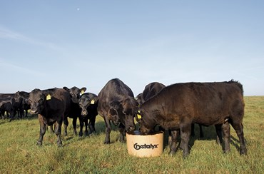 BioBarrel®