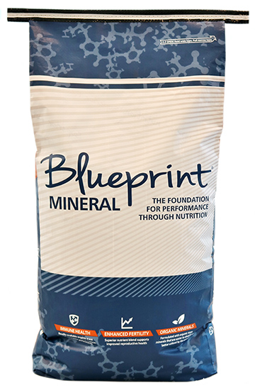 Blueprint® High Mag Mineral with ClariFly®