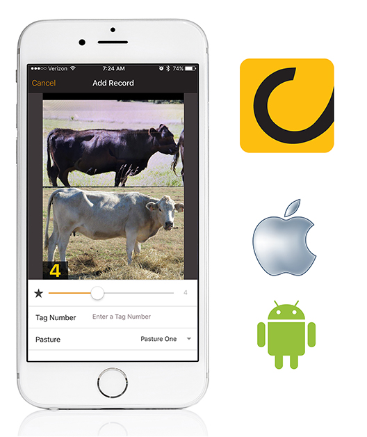 011618-BCS-App-Update-Phone-App-Icon-web.jpg